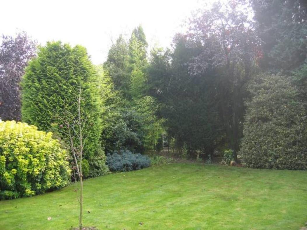 Right Garden Suite In Villa Near Centre And Tue Eindhoven Eksteriør bilde